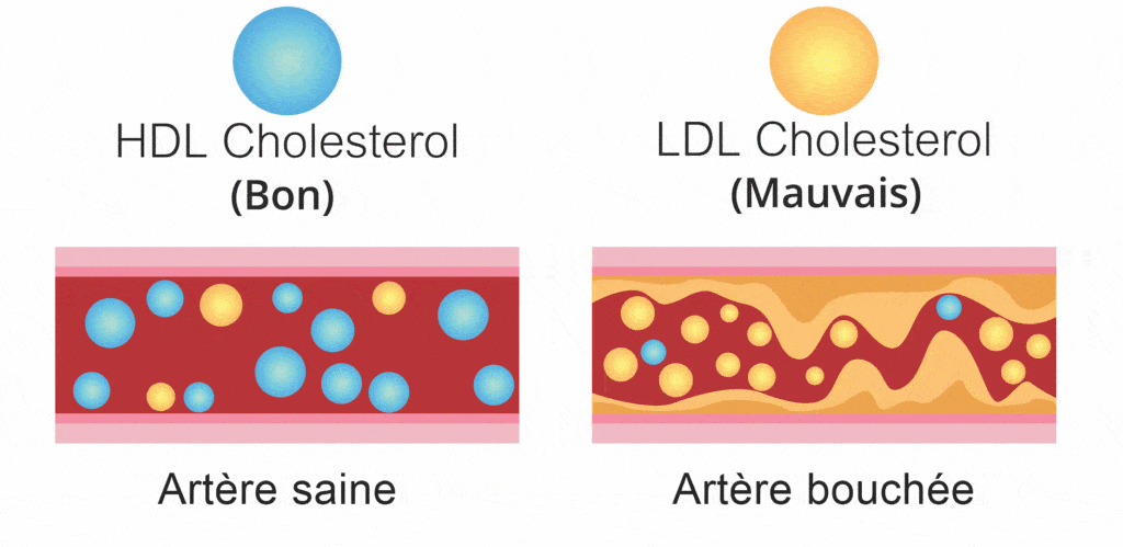 alimax.ch - Santé, bien-être, beauté et longévité par l'alimentation - Recherche en nutrition, diététique et aromathérapie - Michel Bondallaz - Suisse