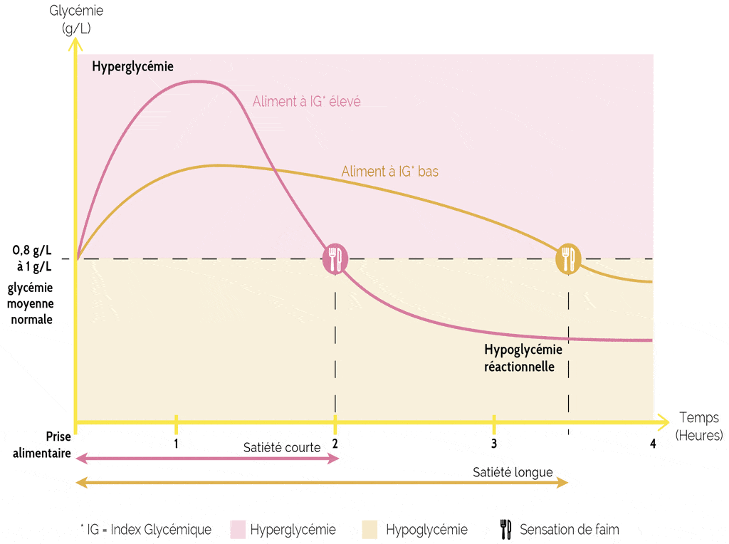 alimax.ch - Santé, bien-être, beauté et longévité par l'alimentation - Recherche en nutrition, diététique et aromathérapie