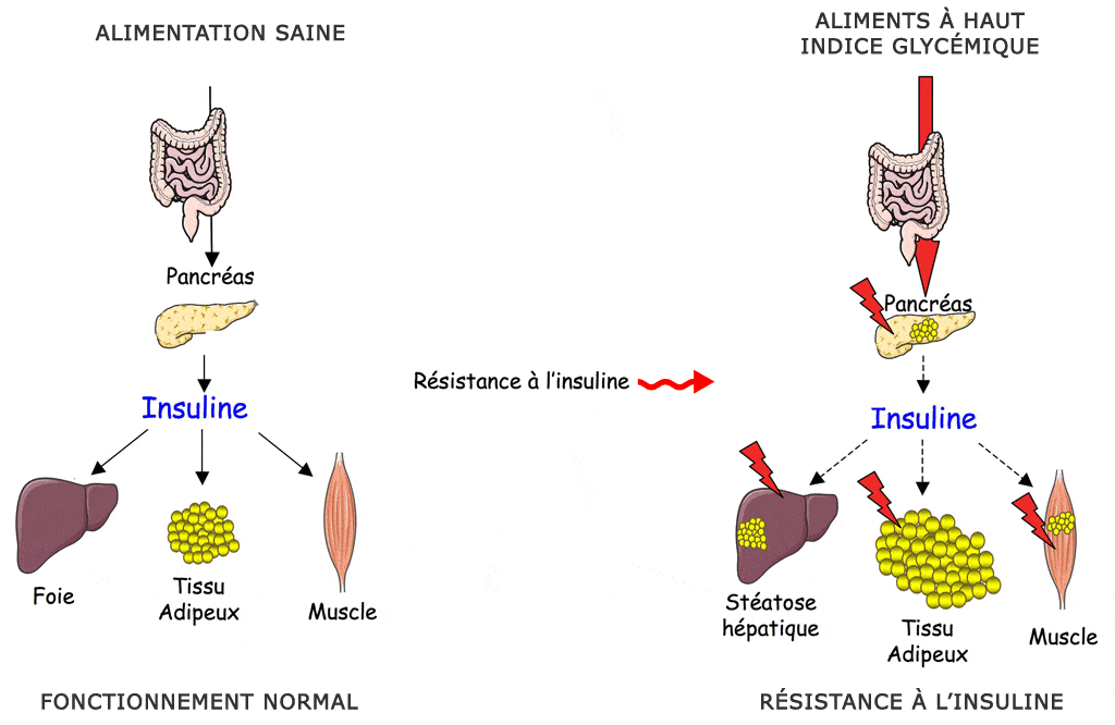 alimax.ch - Santé, bien-être, beauté et longévité par l'alimentation - Recherche en nutrition, diététique et aromathérapie - Michel Bondallaz - Suisse