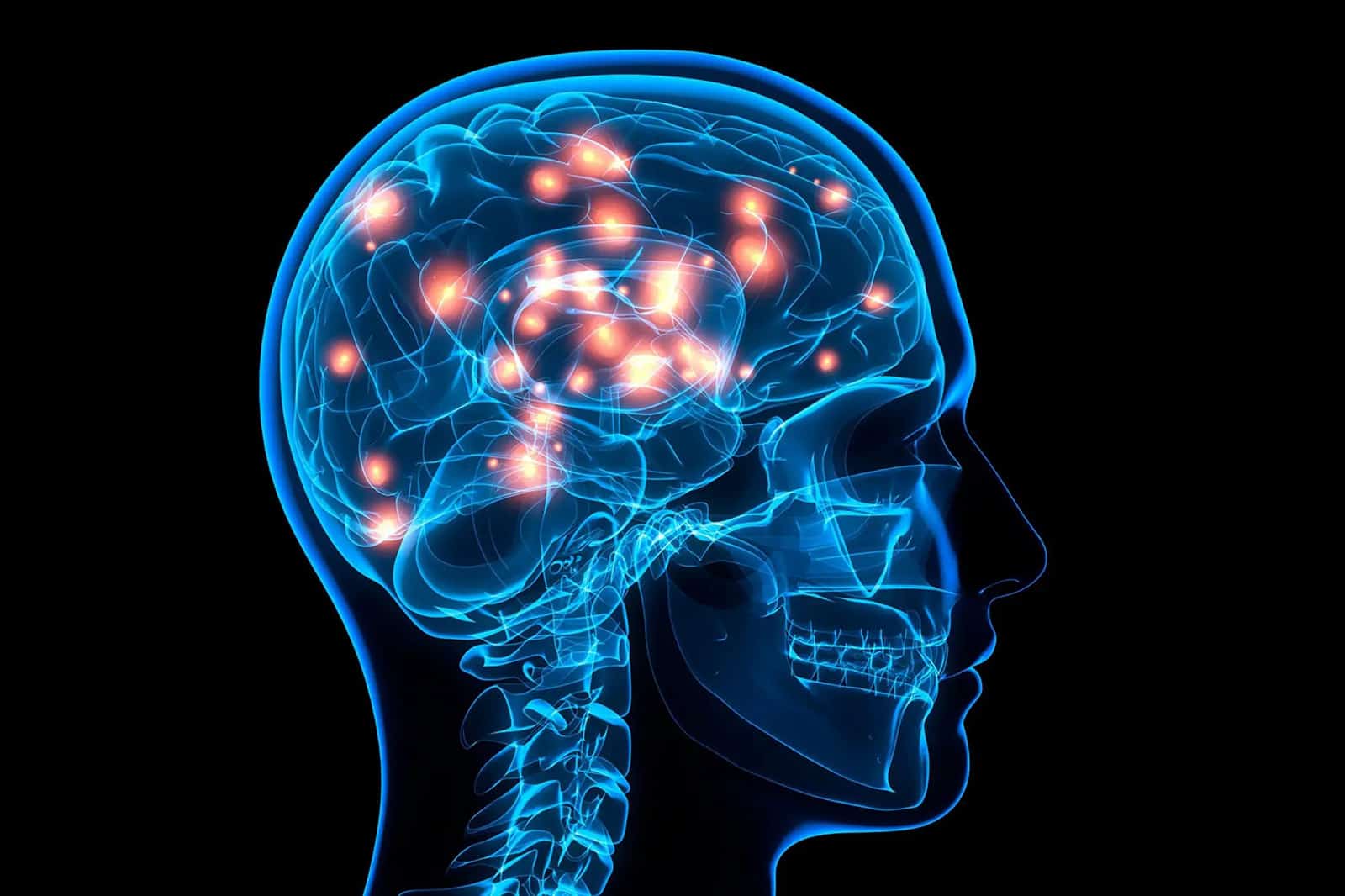 dopamine - prise de risque - alimax.ch - Santé, bien-être, beauté et longévité par l'alimentation - Recherche en nutrition, diététique et aromathérapie - Michel Bondallaz