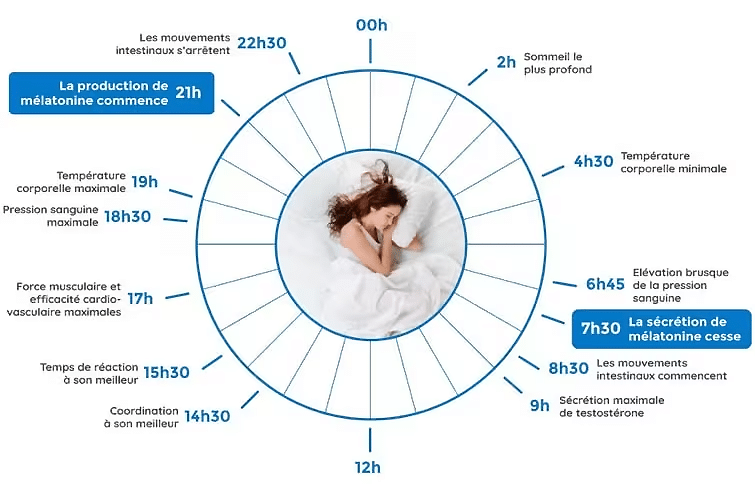 melatonine - rythme circadien - alimax.ch - Santé, bien-être, beauté et longévité par l'alimentation - Recherche en nutrition, diététique et aromathérapie - Michel Bondallaz