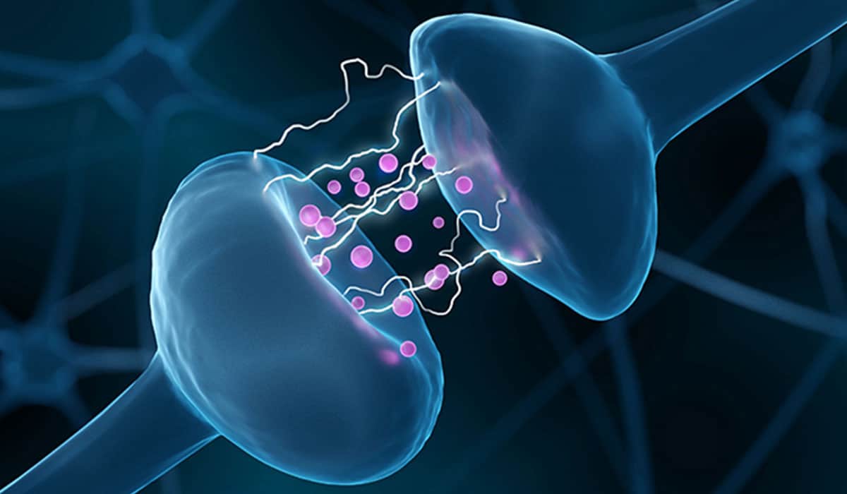 noradrenaline - alimax.ch - Santé, bien-être, beauté et longévité par l'alimentation - Recherche en nutrition, diététique et aromathérapie - Michel Bondallaz