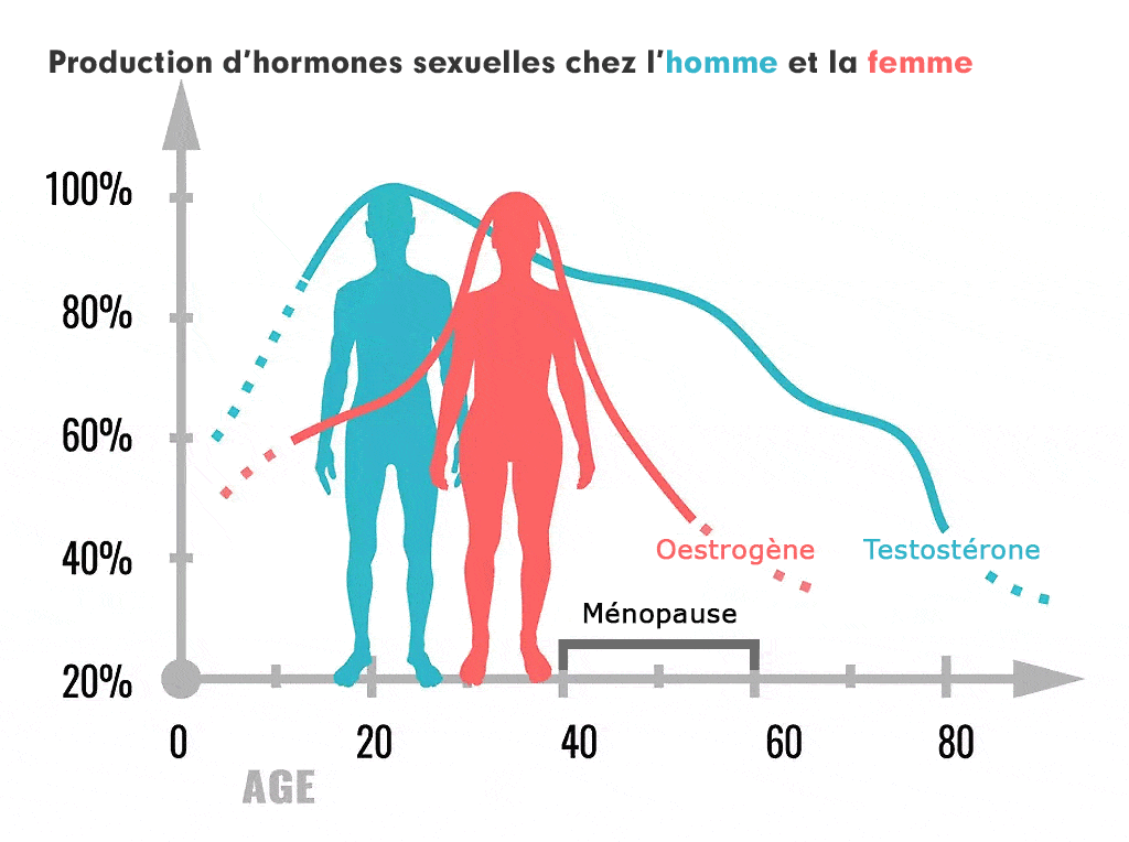 testostérone - alimax.ch - Santé, bien-être, beauté et longévité par l'alimentation - Recherche en nutrition, diététique et aromathérapie - Michel Bondallaz