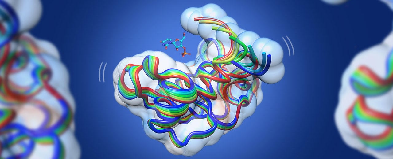 Protéine - enzyme - alimax.ch - Santé, bien-être, beauté et longévité par l'alimentation - Recherche en nutrition, diététique et aromathérapie - Michel Bondallaz